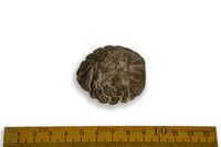 F 07084
<br/>
<br/>
<em></em>